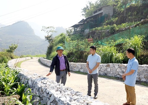 tin suu tam 26925.jpg